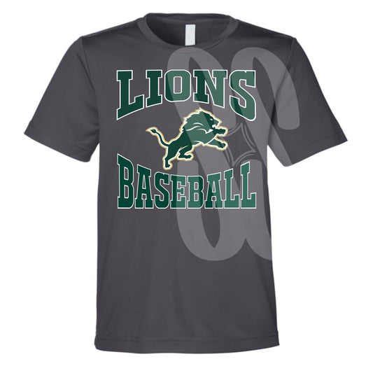 Lions Baseball Varsity Youth Tee Grey